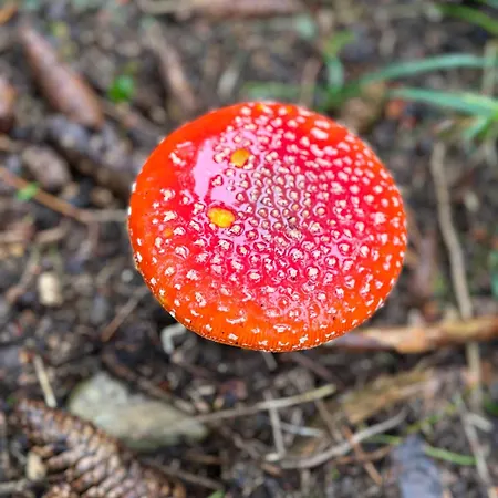 Erzgebirgsglueck Eg * Jöhstadt