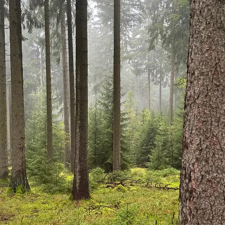 شقة Erzgebirgsglueck Eg *