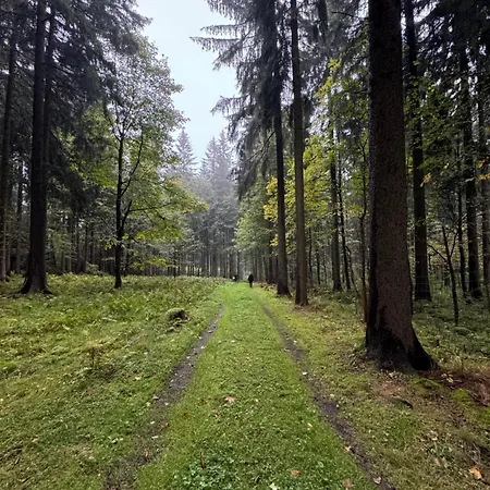 Erzgebirgsglück Eg